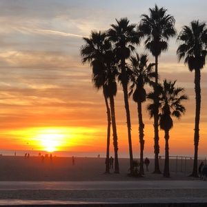 Meet your Posher, Richard